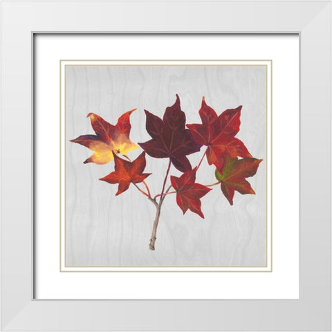 Autumn Leaves I White Modern Wood Framed Art Print with Double Matting by Miller, Dianne