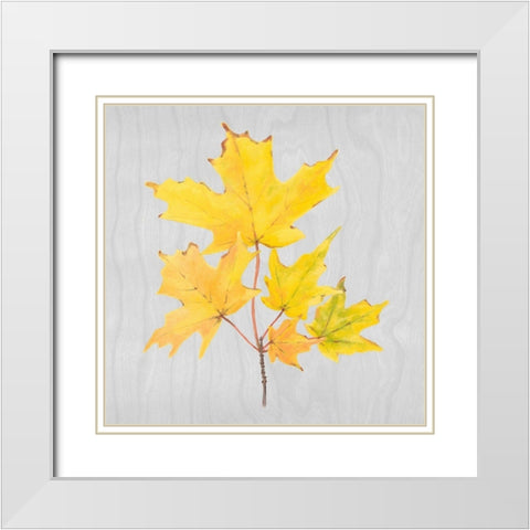 Autumn Leaves II White Modern Wood Framed Art Print with Double Matting by Miller, Dianne