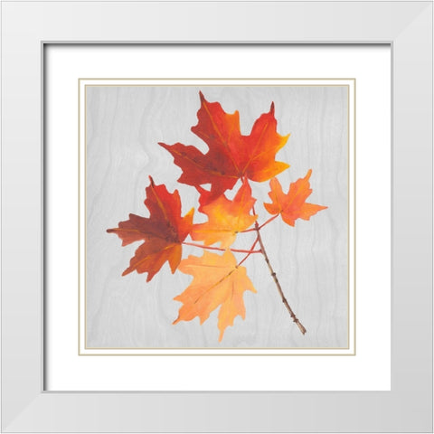 Autumn Leaves IV White Modern Wood Framed Art Print with Double Matting by Miller, Dianne