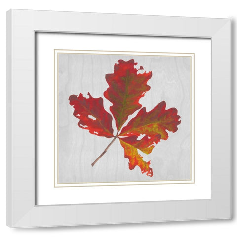 Autumn Leaves V White Modern Wood Framed Art Print with Double Matting by Miller, Dianne