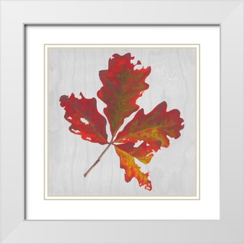 Autumn Leaves V White Modern Wood Framed Art Print with Double Matting by Miller, Dianne