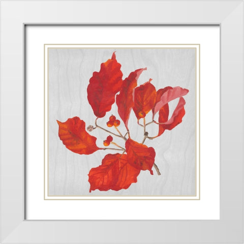 Autumn Leaves VI White Modern Wood Framed Art Print with Double Matting by Miller, Dianne