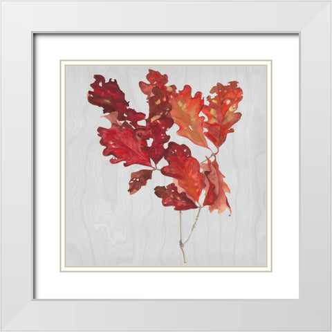 Autumn Leaves VIII White Modern Wood Framed Art Print with Double Matting by Miller, Dianne