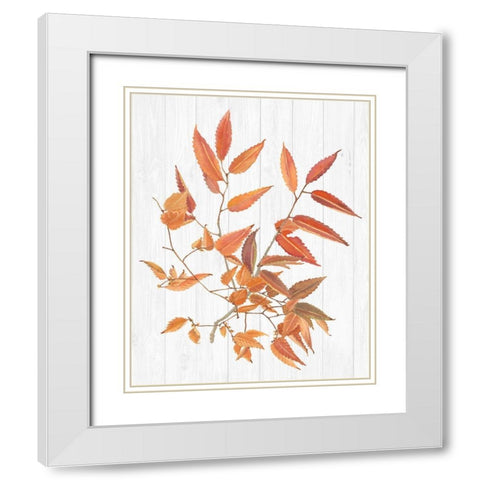 Sweet Foliage I White Modern Wood Framed Art Print with Double Matting by Miller, Dianne