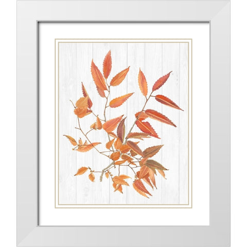 Sweet Foliage I White Modern Wood Framed Art Print with Double Matting by Miller, Dianne