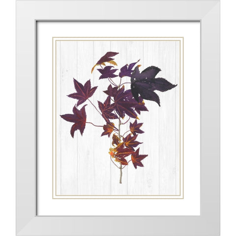 Sweet Foliage II White Modern Wood Framed Art Print with Double Matting by Miller, Dianne