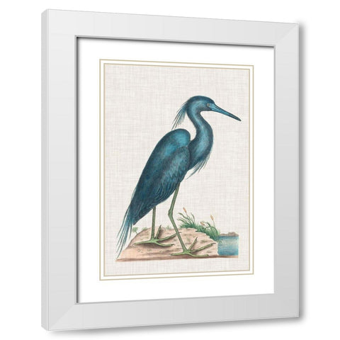 Catesby Heron II White Modern Wood Framed Art Print with Double Matting by Catesby, Mark