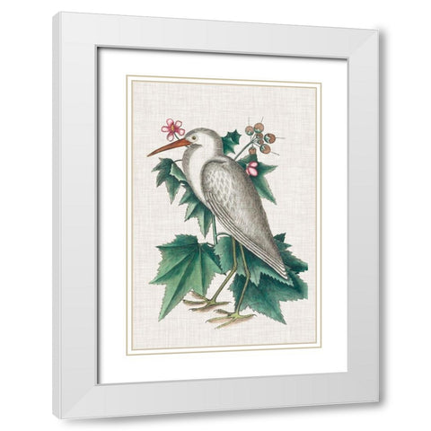 Catesby Heron III White Modern Wood Framed Art Print with Double Matting by Catesby, Mark