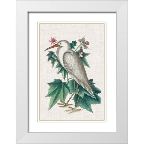 Catesby Heron III White Modern Wood Framed Art Print with Double Matting by Catesby, Mark