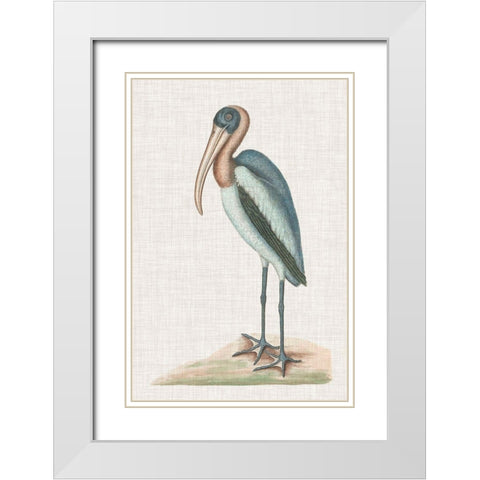 Catesby Heron IV White Modern Wood Framed Art Print with Double Matting by Catesby, Mark