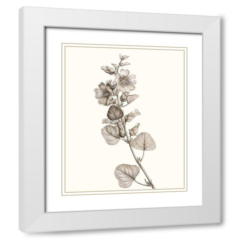 Neutral Botanical Study I White Modern Wood Framed Art Print with Double Matting by Vision Studio