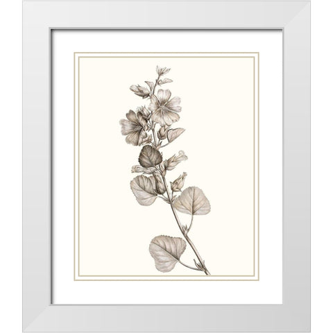 Neutral Botanical Study I White Modern Wood Framed Art Print with Double Matting by Vision Studio