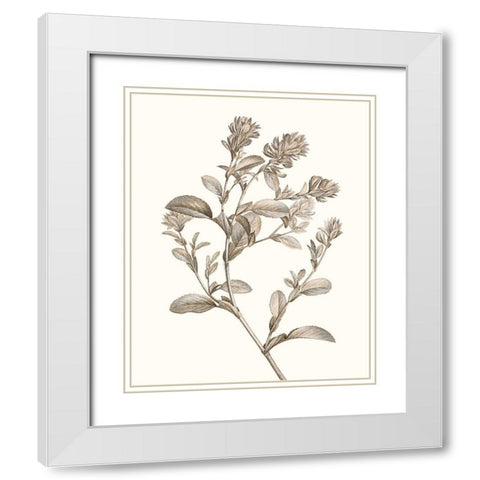 Neutral Botanical Study II White Modern Wood Framed Art Print with Double Matting by Vision Studio