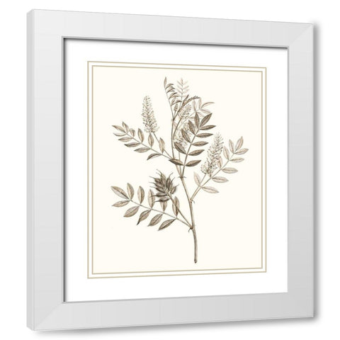 Neutral Botanical Study III White Modern Wood Framed Art Print with Double Matting by Vision Studio