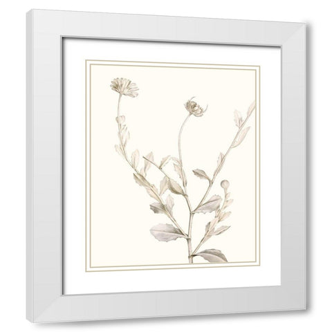 Neutral Botanical Study IV White Modern Wood Framed Art Print with Double Matting by Vision Studio