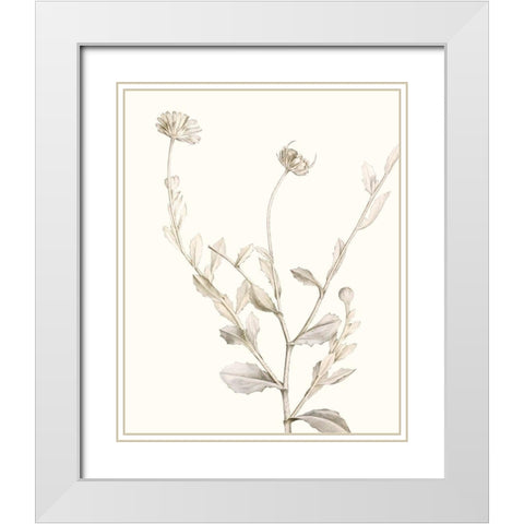 Neutral Botanical Study IV White Modern Wood Framed Art Print with Double Matting by Vision Studio