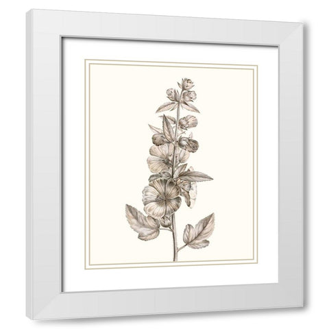 Neutral Botanical Study V White Modern Wood Framed Art Print with Double Matting by Vision Studio
