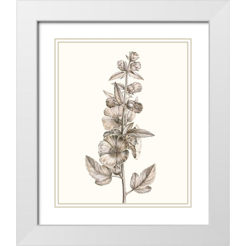 Neutral Botanical Study V White Modern Wood Framed Art Print with Double Matting by Vision Studio