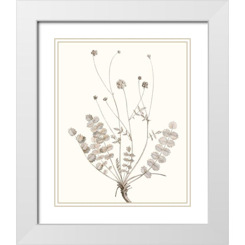 Neutral Botanical Study IX White Modern Wood Framed Art Print with Double Matting by Vision Studio