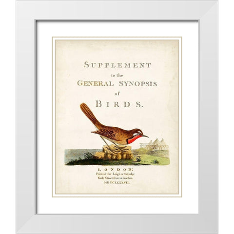 General Synopsis of Birds White Modern Wood Framed Art Print with Double Matting by Latham, John