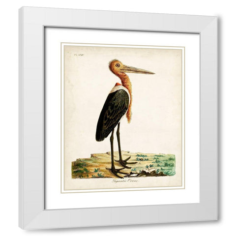 Gigantic Crane White Modern Wood Framed Art Print with Double Matting by Latham, John