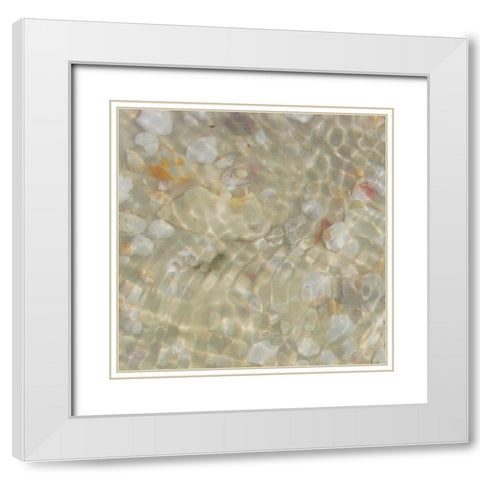 Shell Squares I White Modern Wood Framed Art Print with Double Matting by Ilosky, Pam