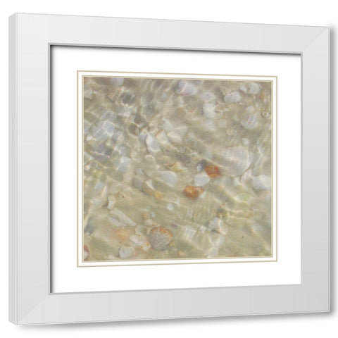 Shell Squares II White Modern Wood Framed Art Print with Double Matting by Ilosky, Pam