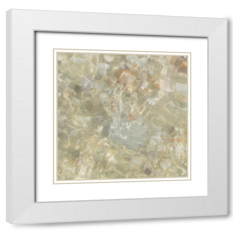 Shell Squares III White Modern Wood Framed Art Print with Double Matting by Ilosky, Pam