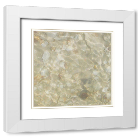 Shell Squares IV White Modern Wood Framed Art Print with Double Matting by Ilosky, Pam