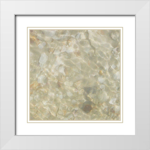 Shell Squares IV White Modern Wood Framed Art Print with Double Matting by Ilosky, Pam