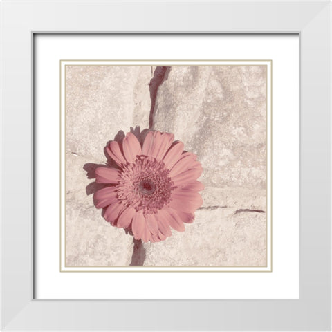 Stone Blossom I White Modern Wood Framed Art Print with Double Matting by Johnson, Jason