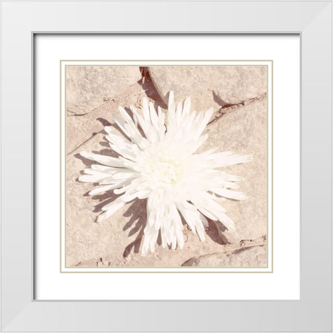 Stone Blossom III White Modern Wood Framed Art Print with Double Matting by Johnson, Jason