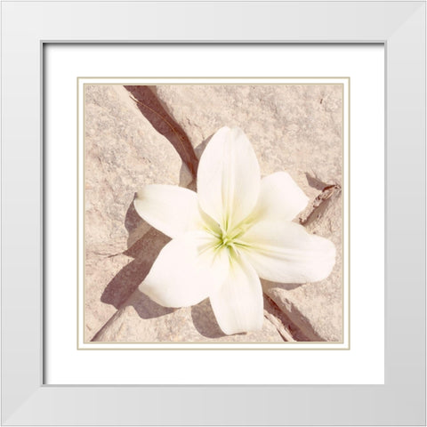 Stone Blossom IV White Modern Wood Framed Art Print with Double Matting by Johnson, Jason