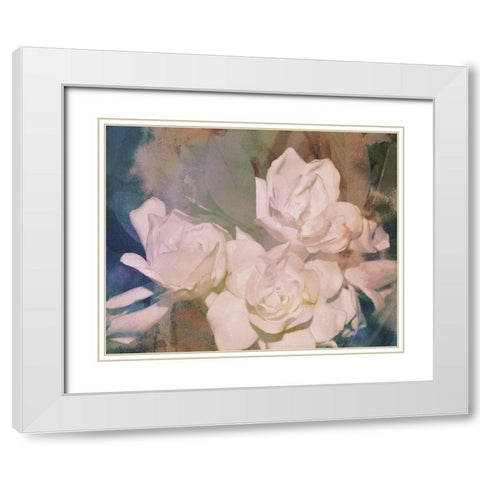 Blush Gardenia Beauty II White Modern Wood Framed Art Print with Double Matting by Chandler, Sharon