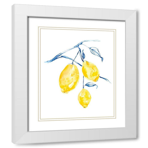 Watercolor Lemons I White Modern Wood Framed Art Print with Double Matting by Goldberger, Jennifer