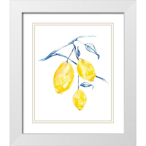 Watercolor Lemons I White Modern Wood Framed Art Print with Double Matting by Goldberger, Jennifer
