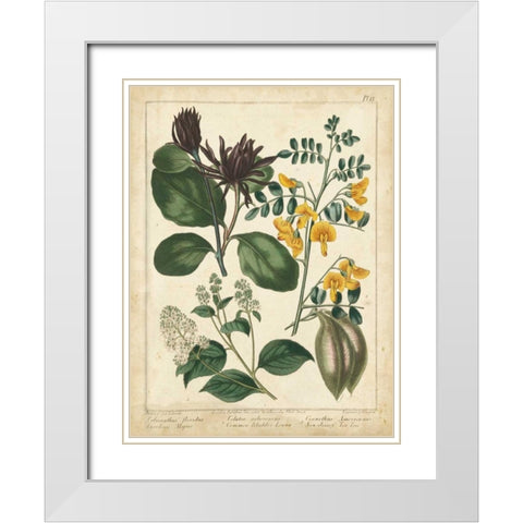Non-Embellish Enchanted Garden I White Modern Wood Framed Art Print with Double Matting by Edwards, Sydenham
