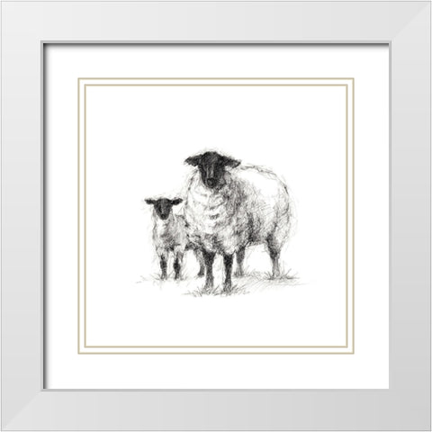 Charcoal Sheep Study I White Modern Wood Framed Art Print with Double Matting by Harper, Ethan