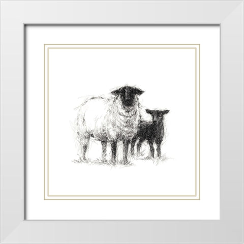 Charcoal Sheep Study II White Modern Wood Framed Art Print with Double Matting by Harper, Ethan