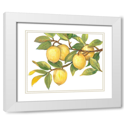 Ripe for Picking I White Modern Wood Framed Art Print with Double Matting by OToole, Tim