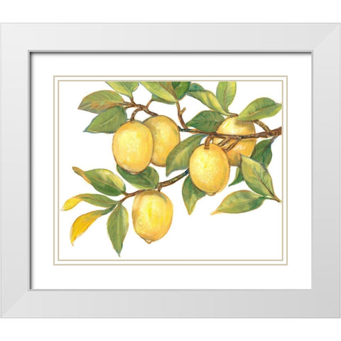 Ripe for Picking I White Modern Wood Framed Art Print with Double Matting by OToole, Tim