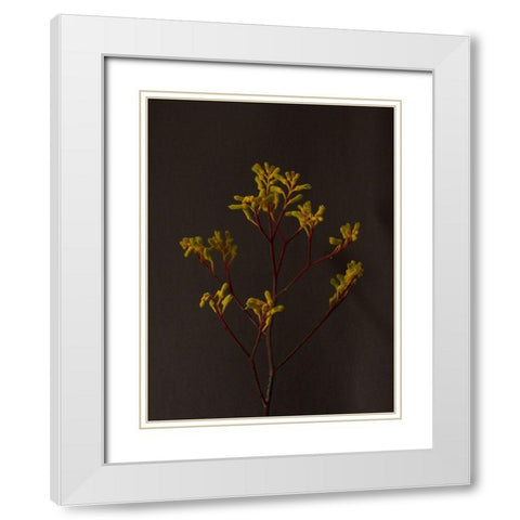 Dark and Dreamy IV White Modern Wood Framed Art Print with Double Matting by Stramel, Renee W.