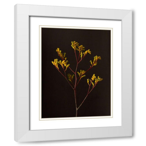 Dark and Dreamy V White Modern Wood Framed Art Print with Double Matting by Stramel, Renee W.