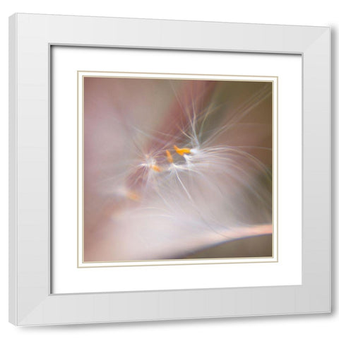 Fairy Dance V White Modern Wood Framed Art Print with Double Matting by Hunt, Gillian