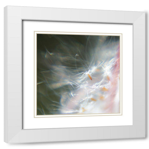 Fairy Dance VI White Modern Wood Framed Art Print with Double Matting by Hunt, Gillian