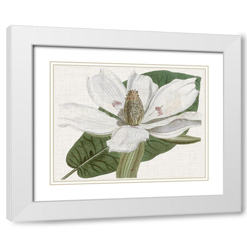 Curtis Magnolia II White Modern Wood Framed Art Print with Double Matting by Curtis