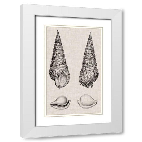 Charcoal and Linen Shells I White Modern Wood Framed Art Print with Double Matting by Vision Studio