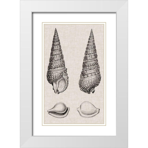Charcoal and Linen Shells I White Modern Wood Framed Art Print with Double Matting by Vision Studio