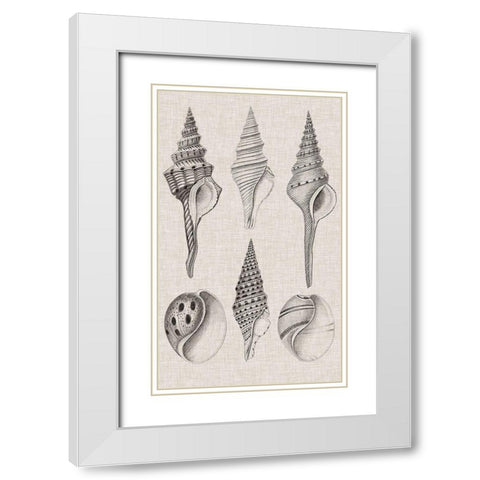 Charcoal and Linen Shells II White Modern Wood Framed Art Print with Double Matting by Vision Studio