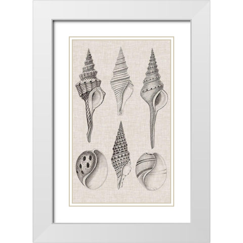 Charcoal and Linen Shells II White Modern Wood Framed Art Print with Double Matting by Vision Studio